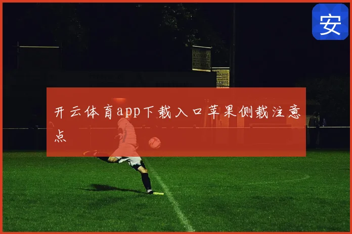 开云体育app下载入口苹果侧载注意点